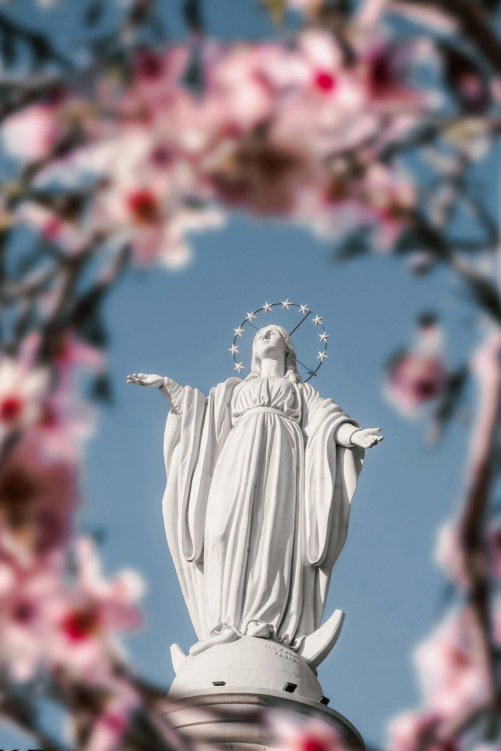 White statue of the Virgin Mary with outstretched arms, framed by pink blossoms against a blue sky