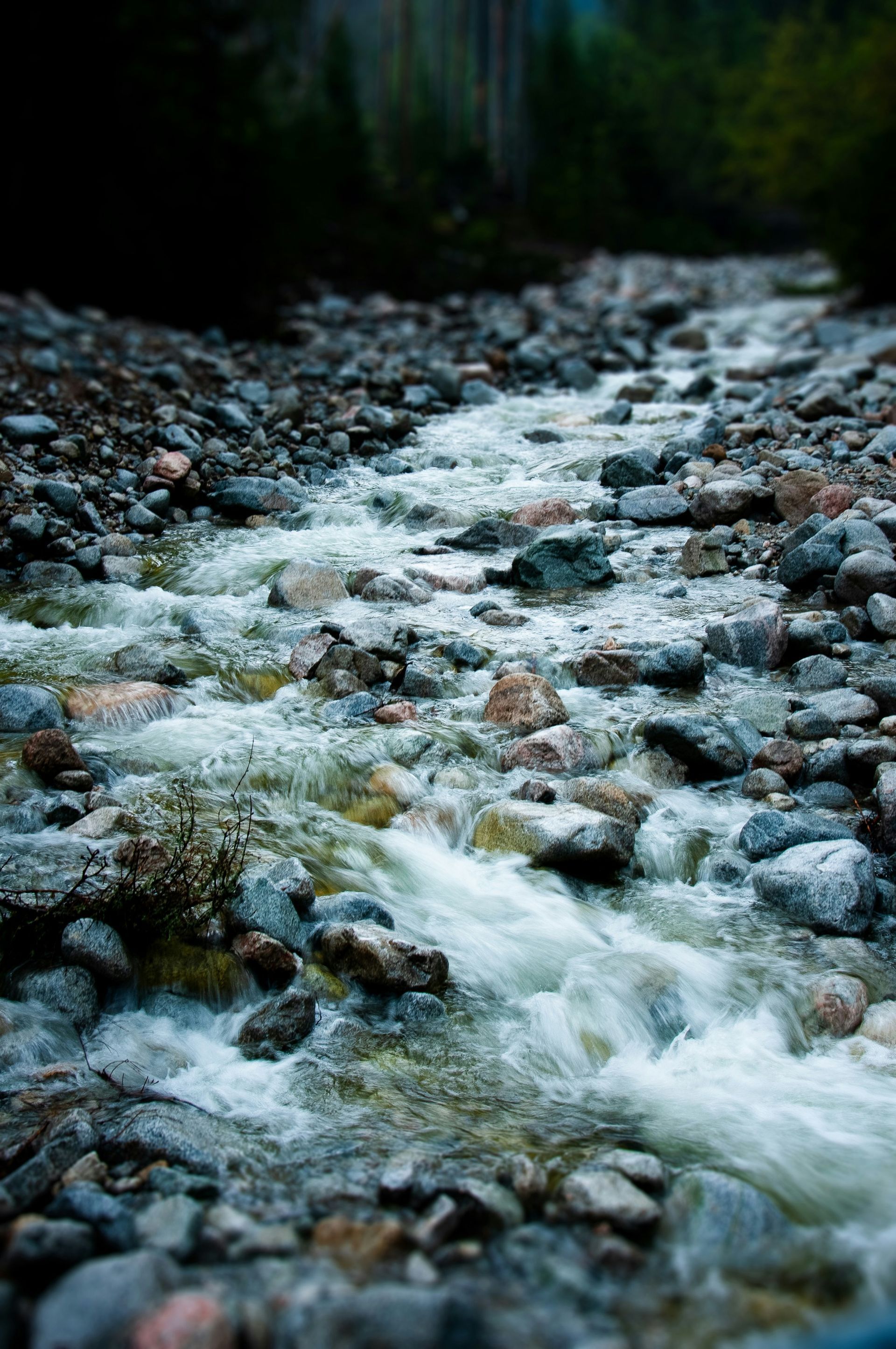 Rushing stream over rocky riverbed in a dark forest