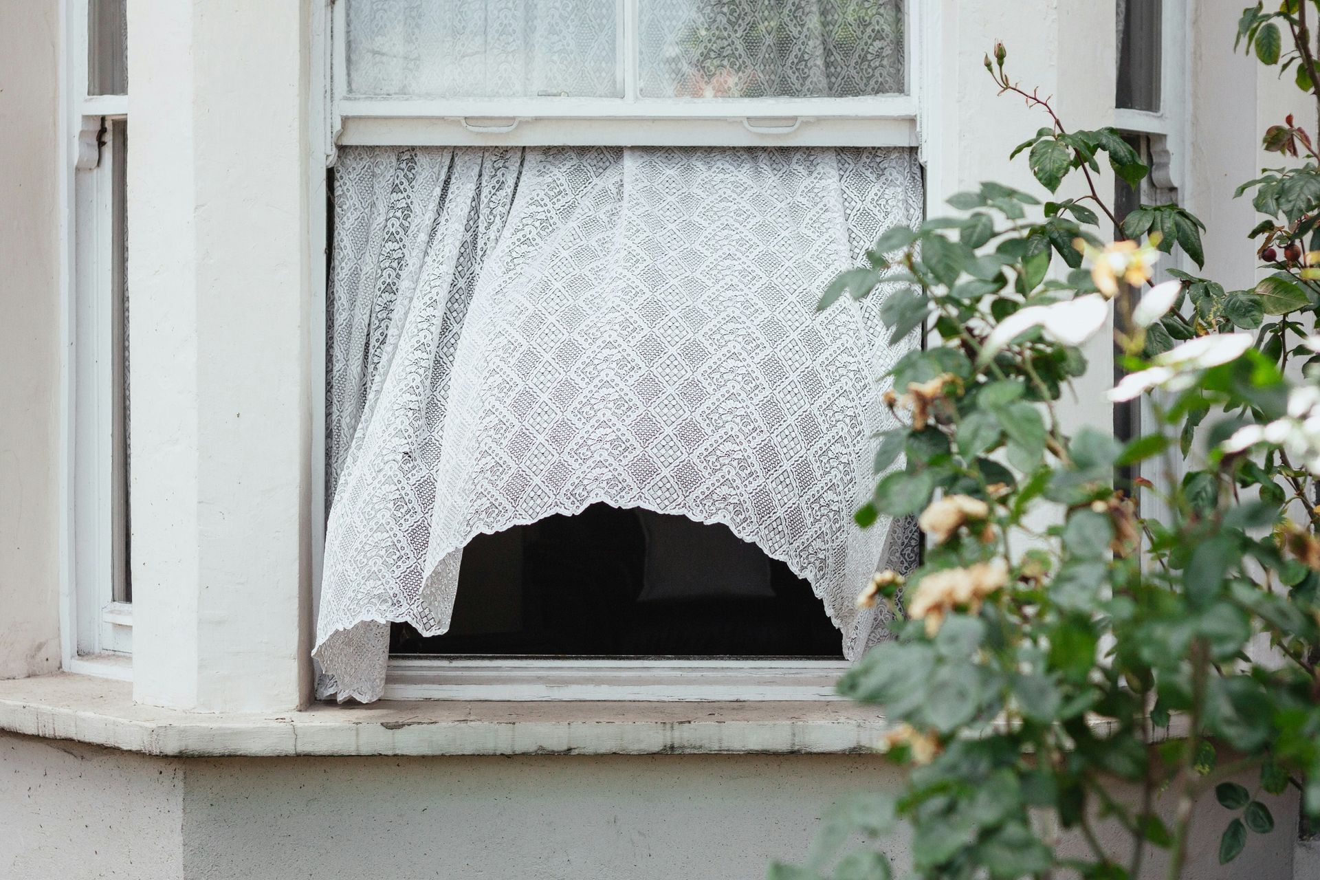 A lace curtain hanging in an open window, with greenery in the foreground