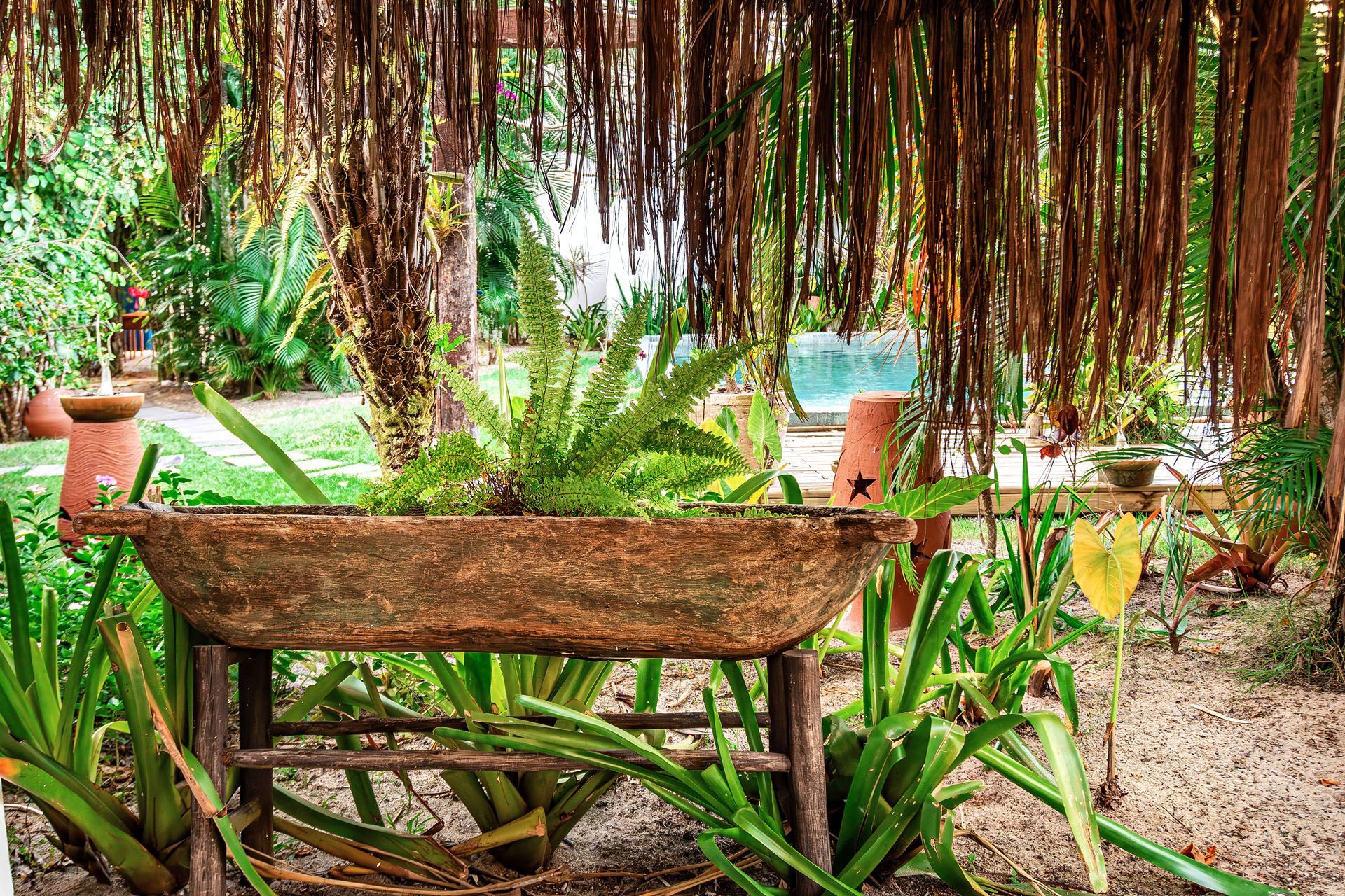 Pátio com jardim tropical, floreira de madeira, trepadeiras e plantas em vasos perto de uma piscina turquesa.