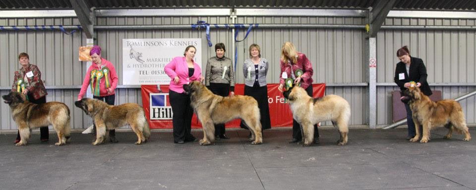 Riders on decorated horses posing at an indoor arena show with ribbon awards