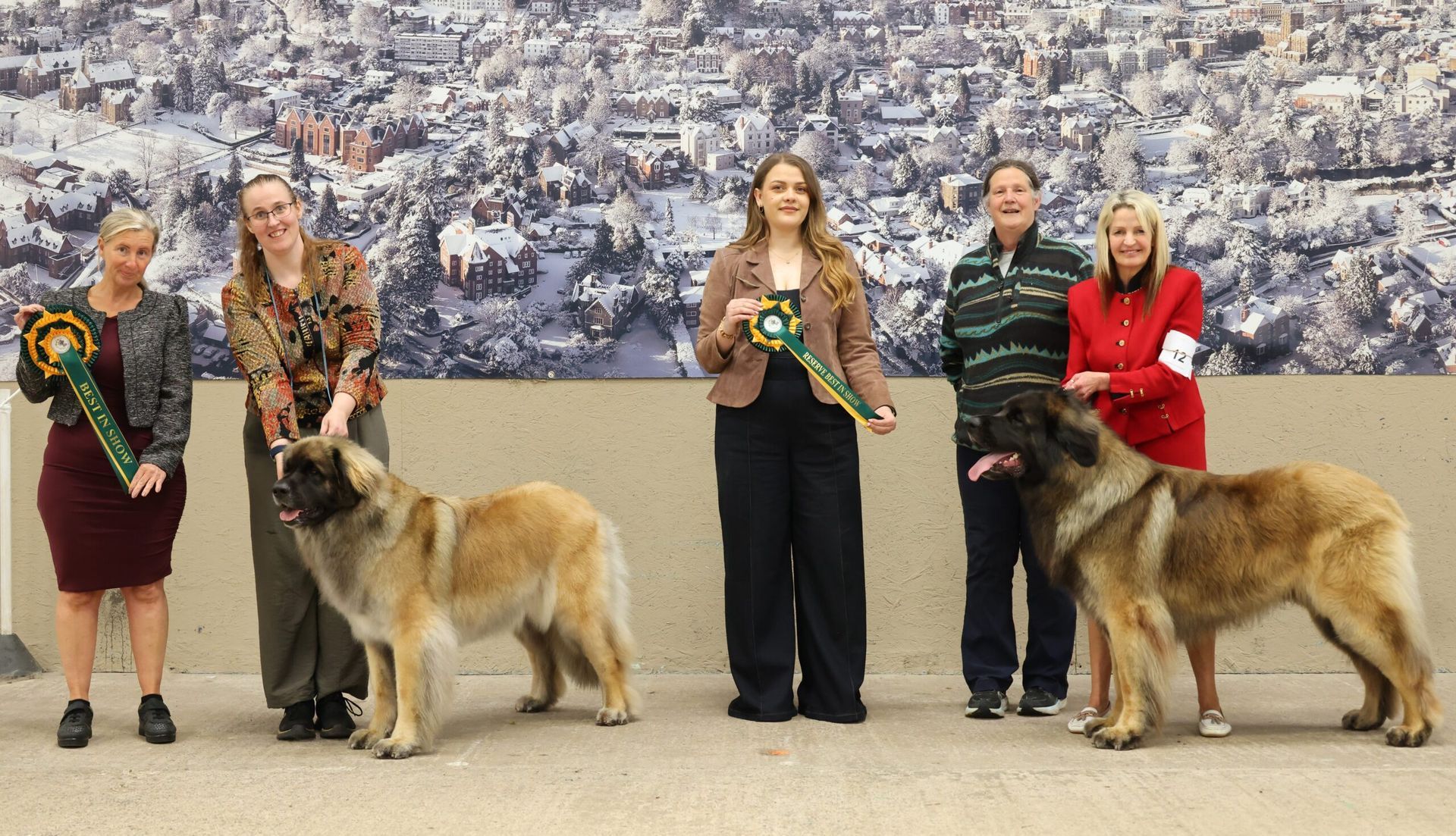 Four people with award ribbons stand beside two German shepherds in a dog show ring