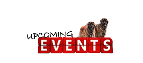 Upcoming events graphic with two dogs above red calendar-style letters