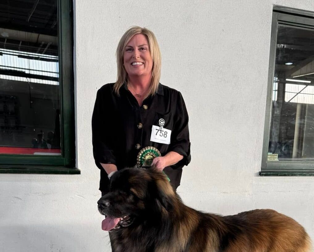 Woman holding a ribbon stands beside a large brown dog indoors.