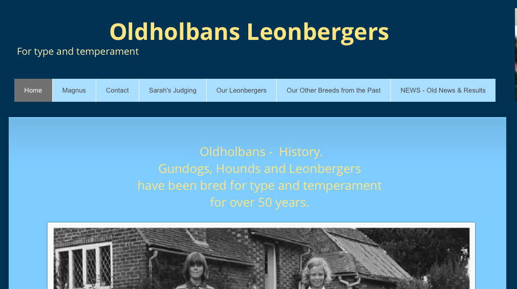 Oldholbans Leonbergers