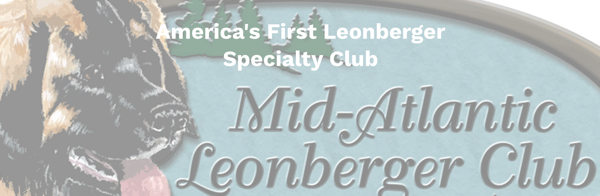 Mid-Atlantic Leonberger Club
