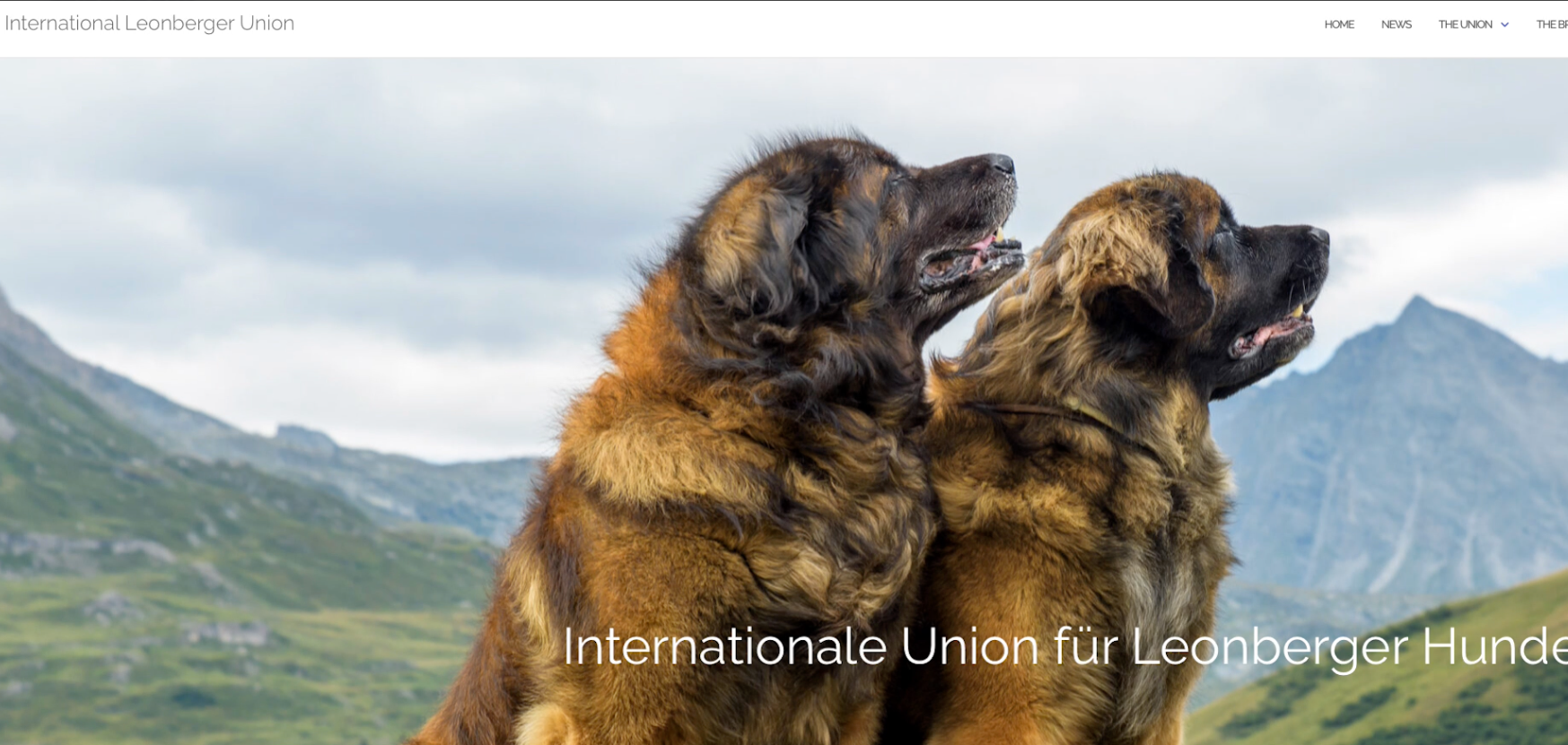 International Union