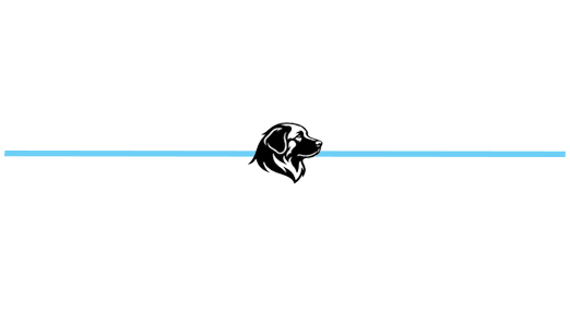 Black panther head logo centered on a thin light blue horizontal line on a white background