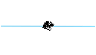 Black panther head logo centered on a thin light blue horizontal line on a white background