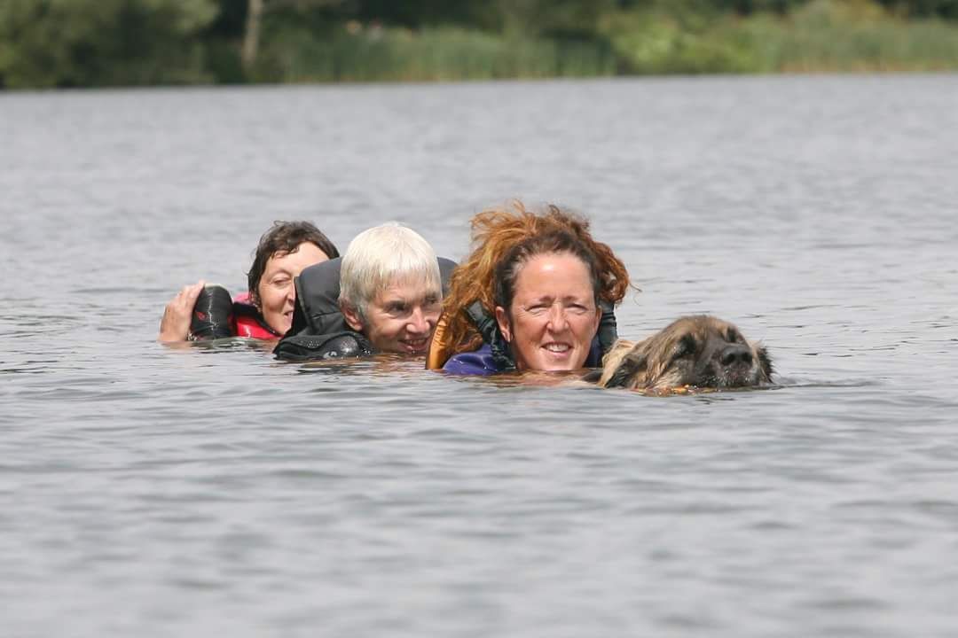 Four swimmers with heads above water in a lake, one holding a camera, with trees in the distance
