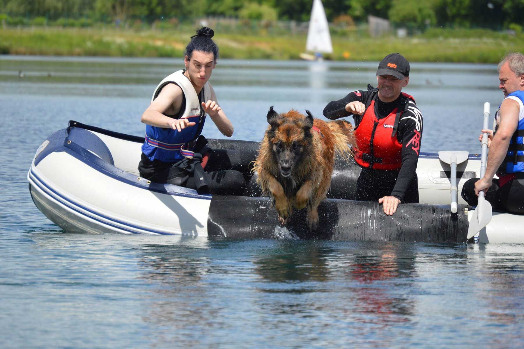 Two people on a small boat with a wet dog in the water, splashing on a sunny lake