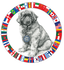 Leonberger Health Foundation International