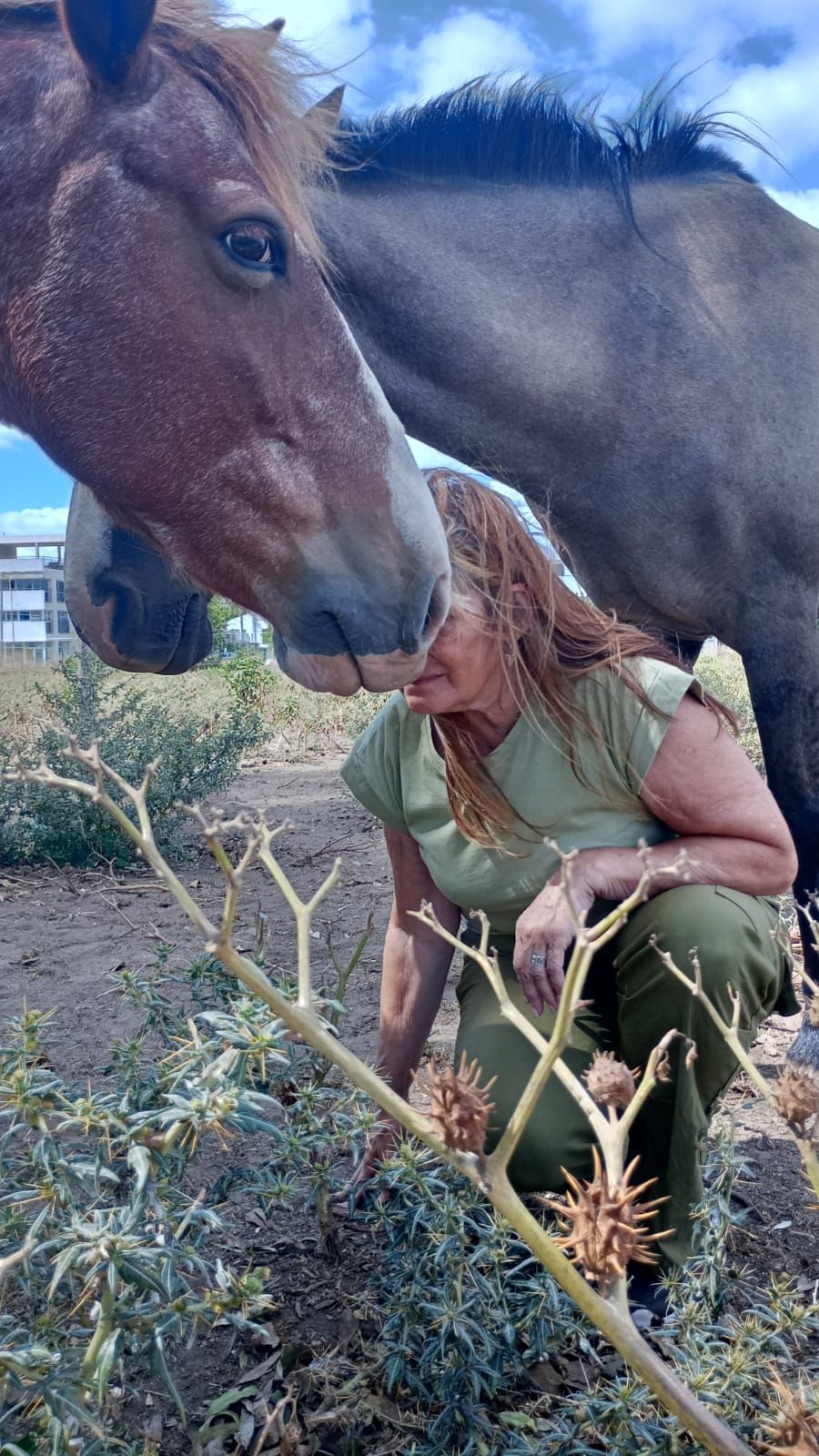 Una mujer se agacha entre la maleza y acaricia suavemente con el hocico a un caballo marrón al aire libre