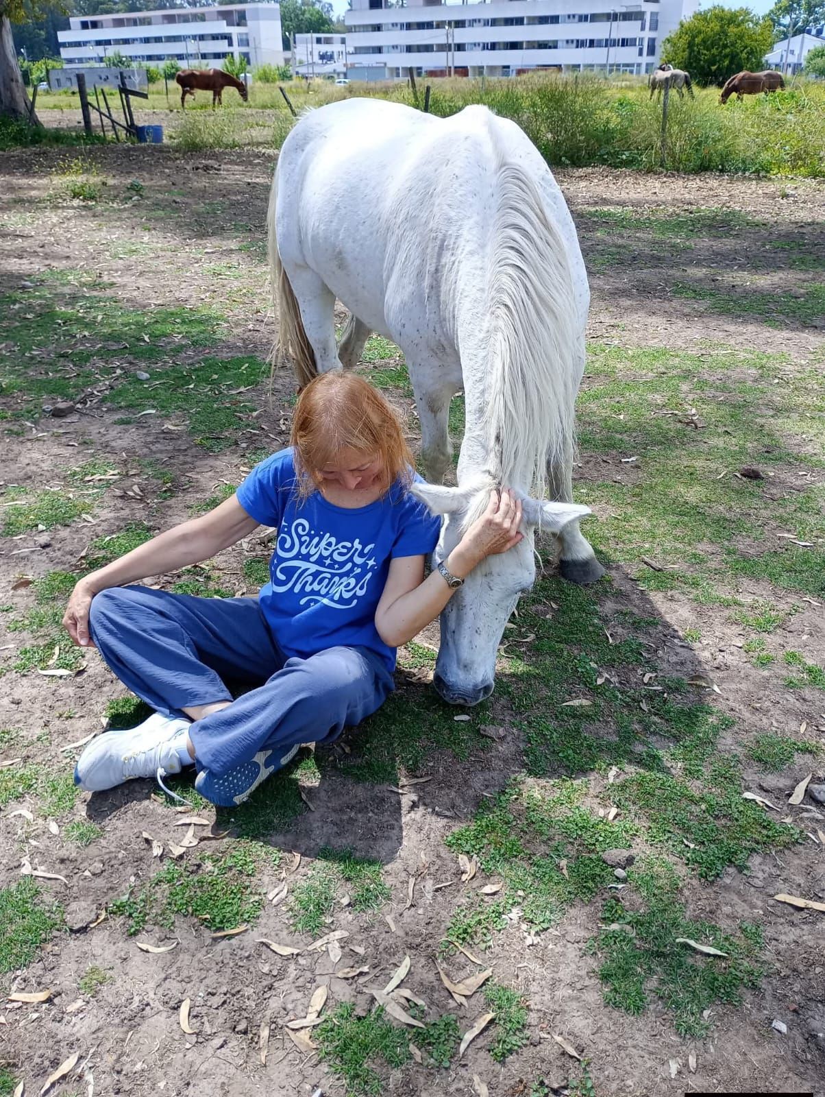 Una persona sentada en el suelo junto a un caballo blanco en un parque con césped, con edificios al fondo.