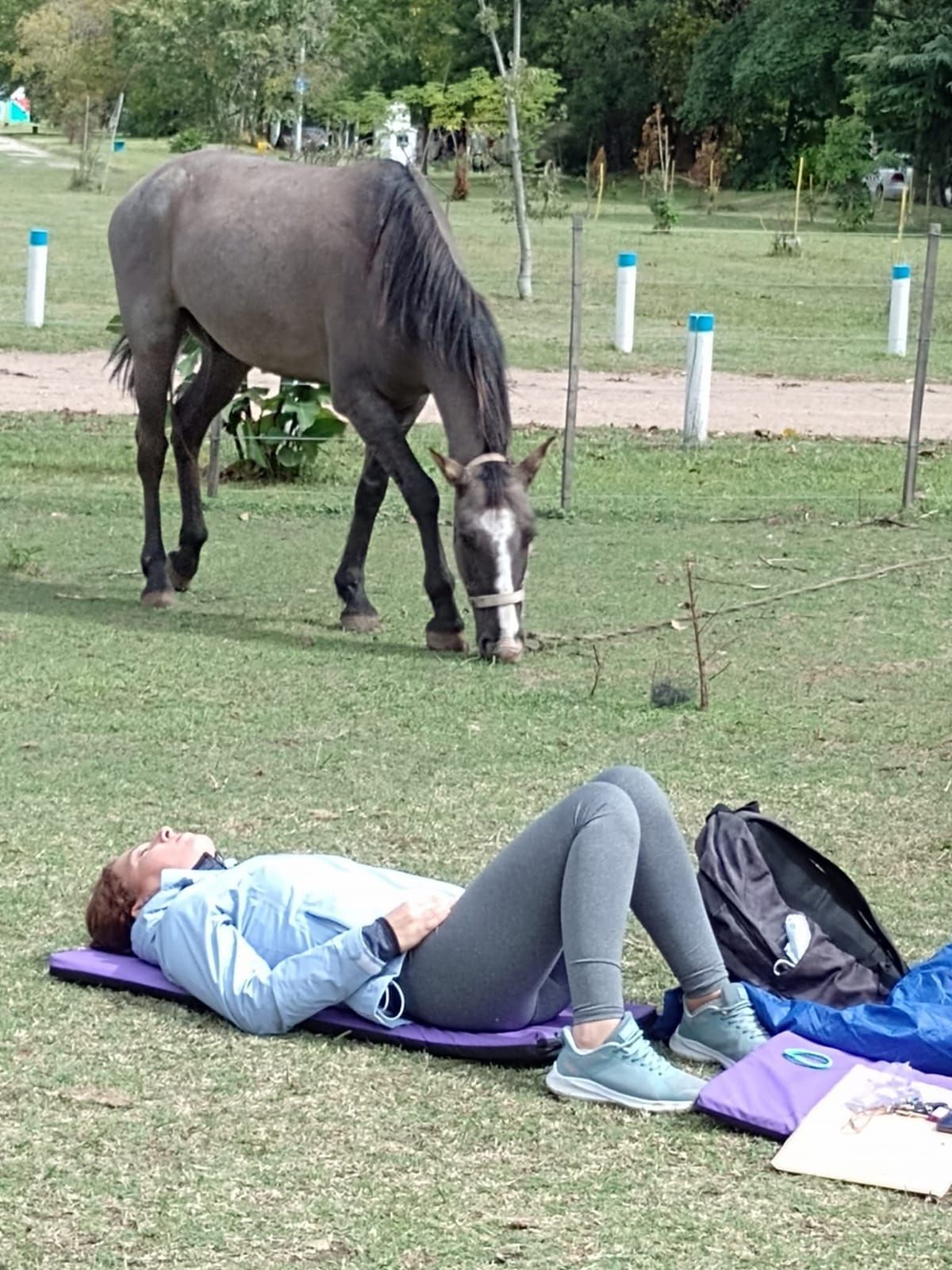 Una persona yace sobre la hierba cerca de un caballo negro que pasta en un campo que parece un parque.