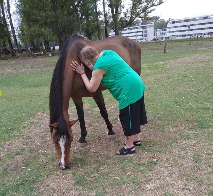 Una persona con una camisa verde abraza a un caballo marrón que pasta en un campo de hierba.