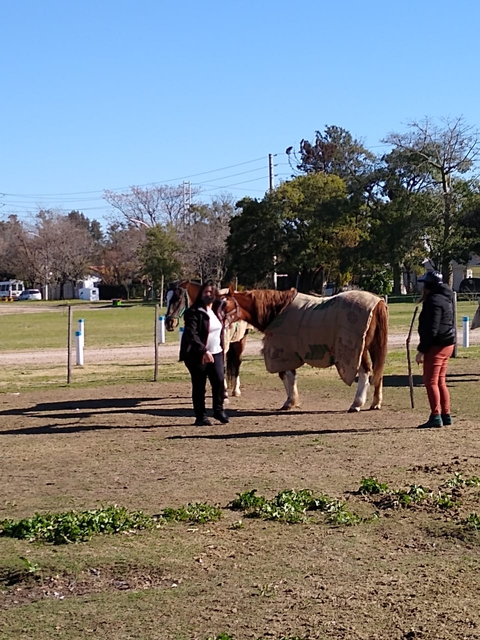 Dos caballos con gente cerca en una zona de hierba. Un caballo lleva una manta. Día soleado.