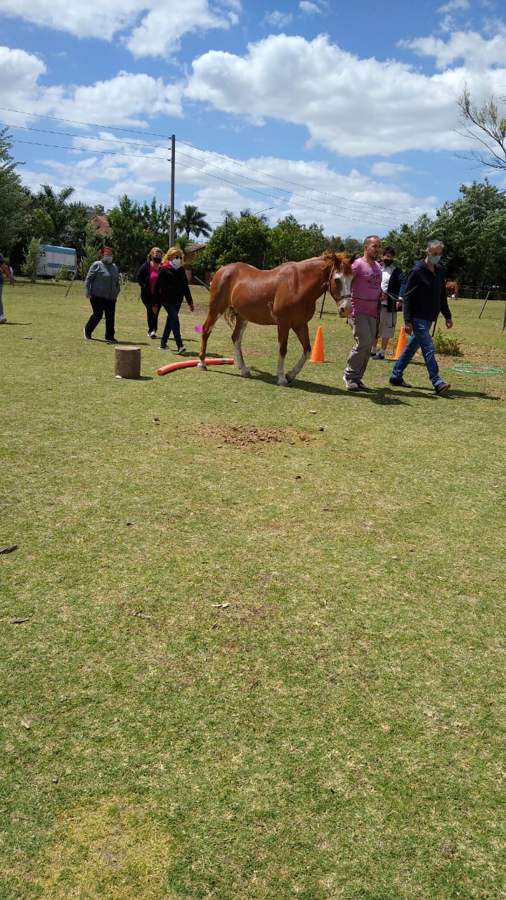 Caballo caminando por un campo de hierba, guiado por un grupo de personas bajo un cielo azul.