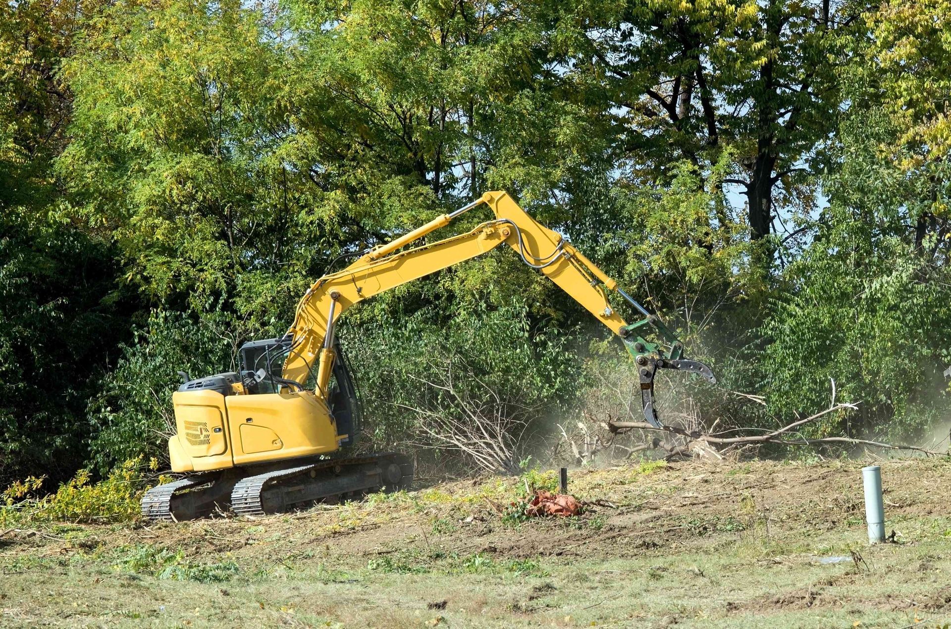 a yellow excavator is cutting down trees in a field
