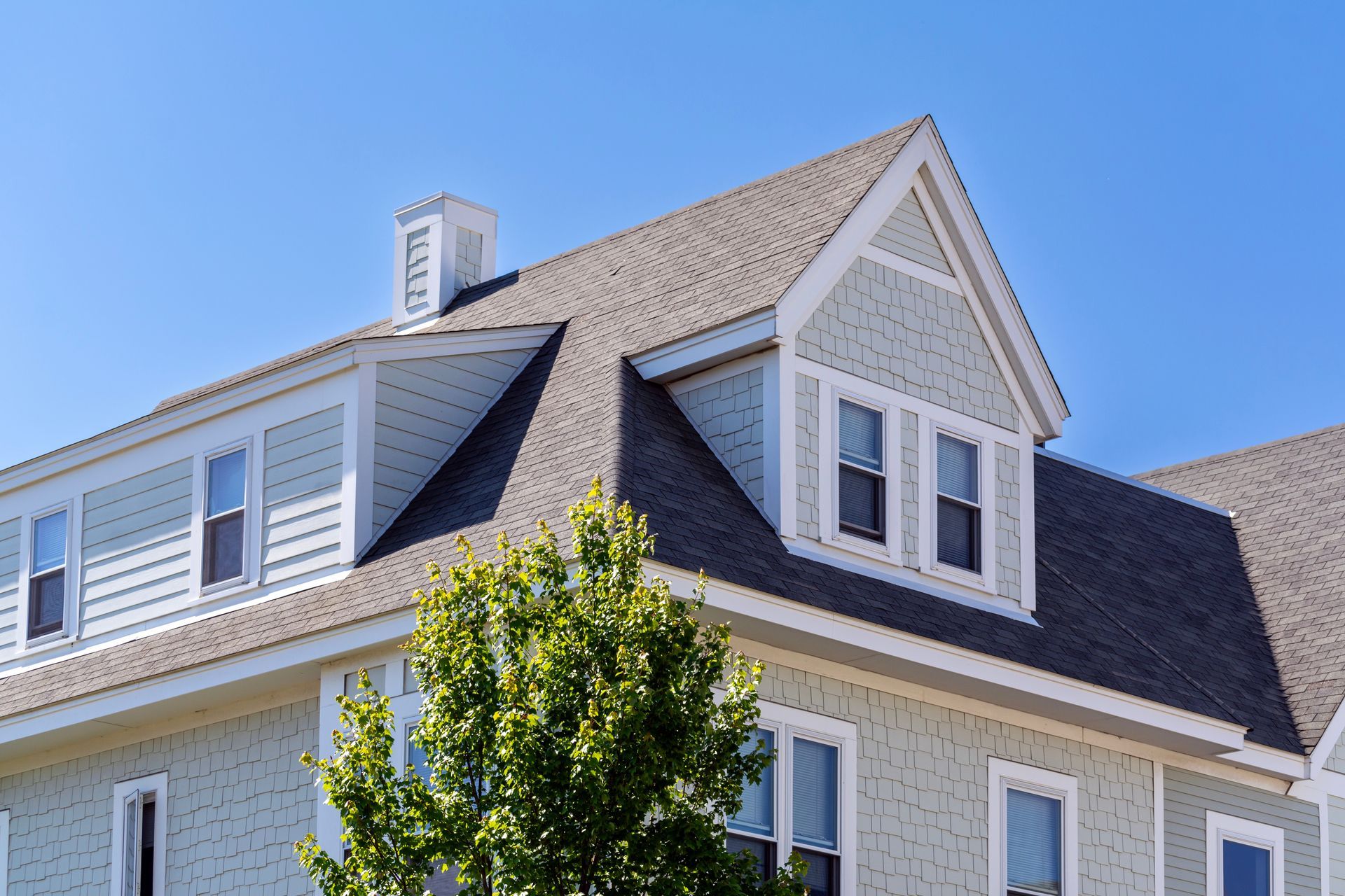 House with gray roof, light blue siding, white trim, dormers, windows, and a tree.