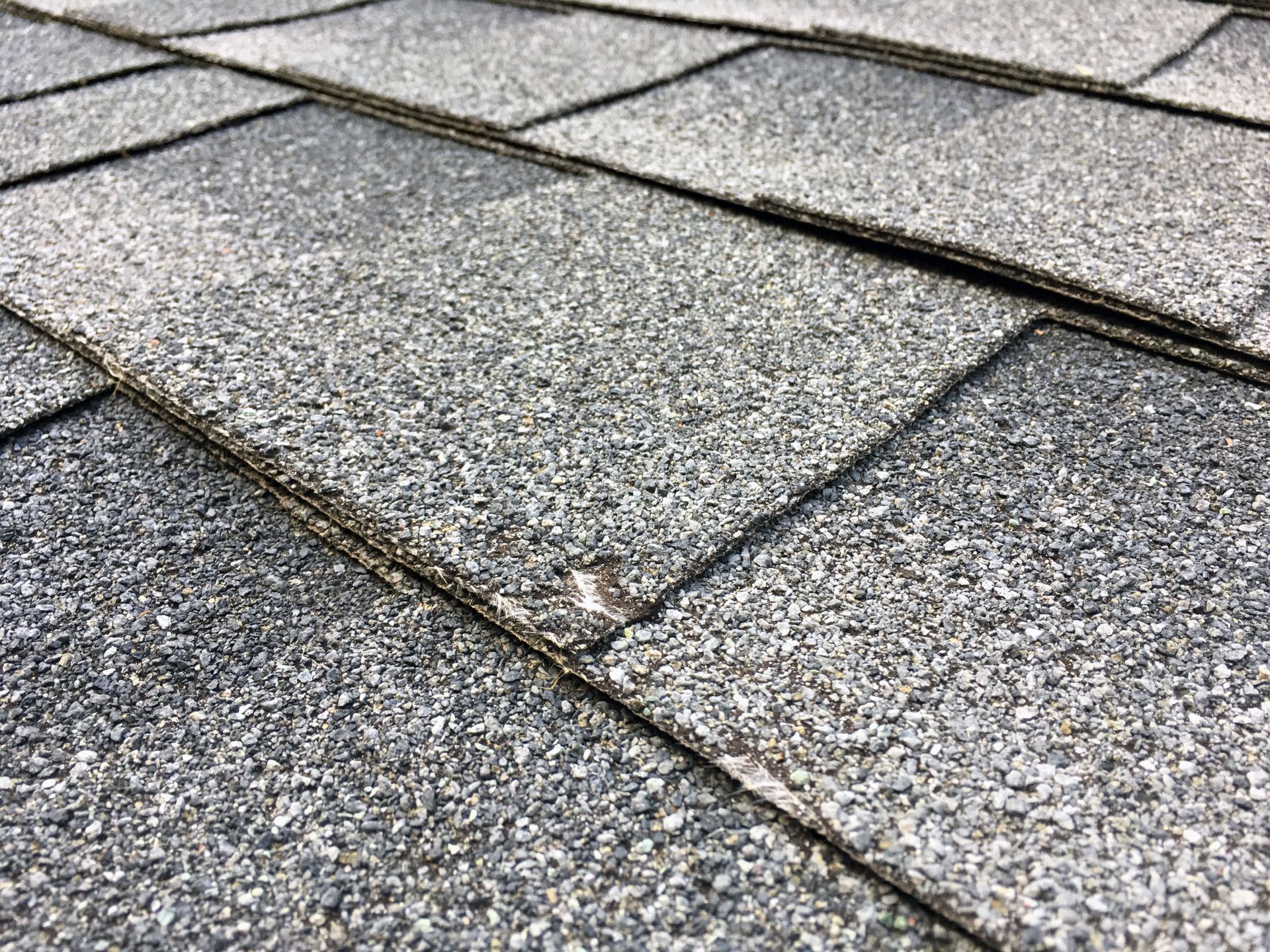 Close-up of a gray asphalt shingle roof with one damaged shingle.