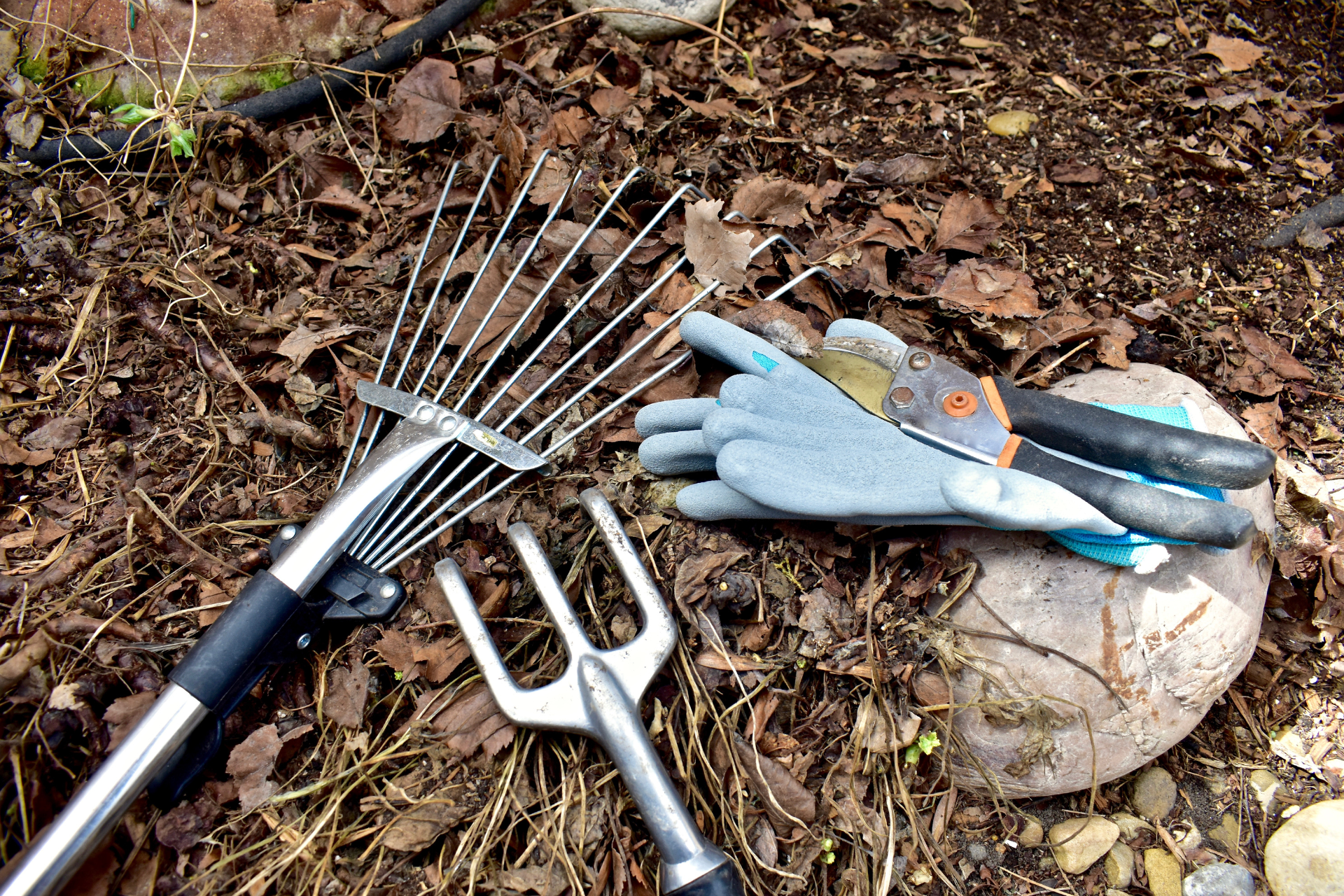Spring Clean-Ups