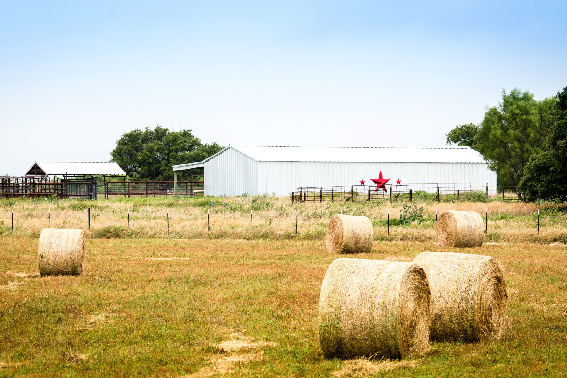 Hay For Sale