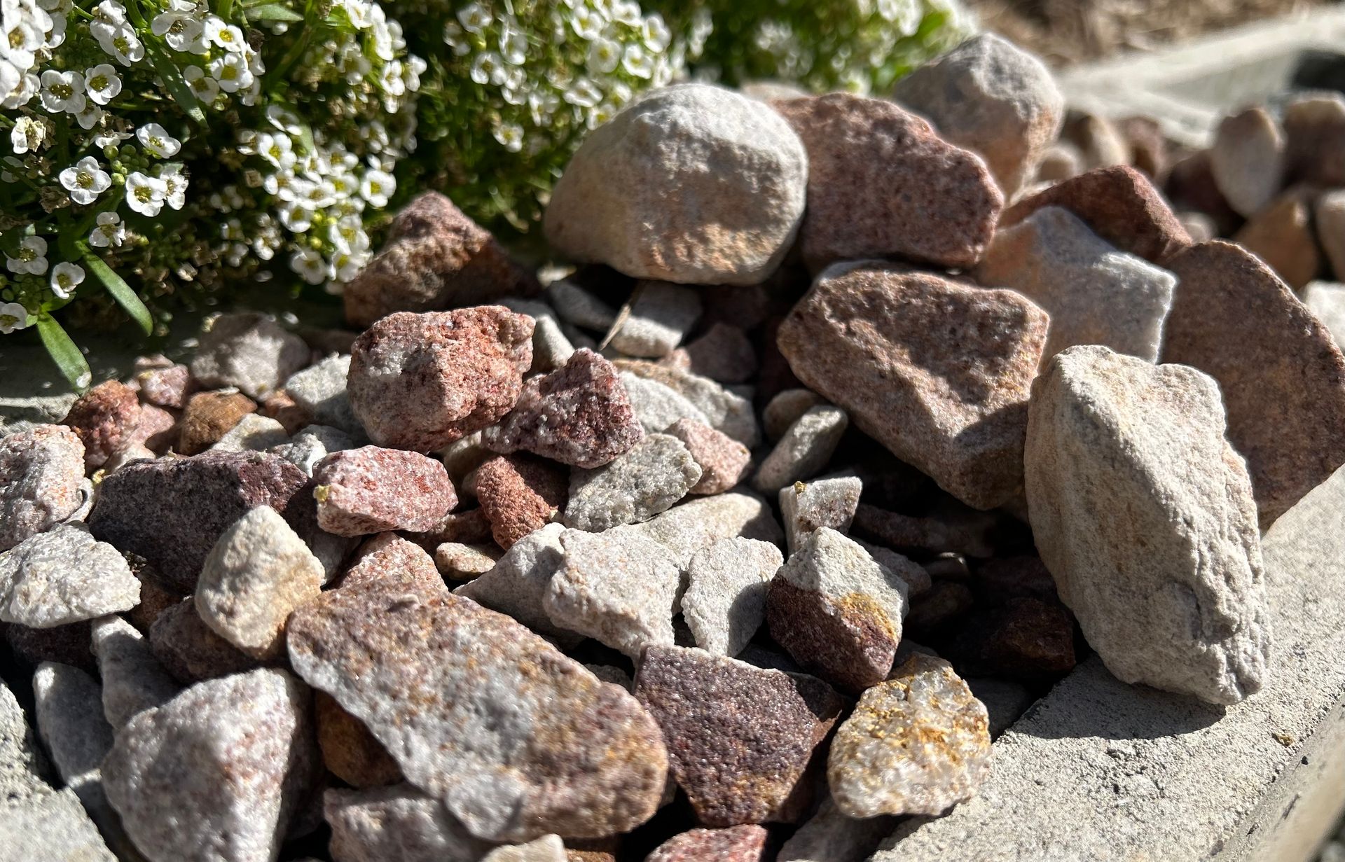 Pile of light brown and red rocks, with white flowers in the background.