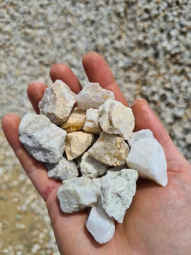 A hand holding several small white and beige rocks against a speckled gravel background — Campbell's Truck and Bobcat and Landscape Supplies In Gympie, QLD
