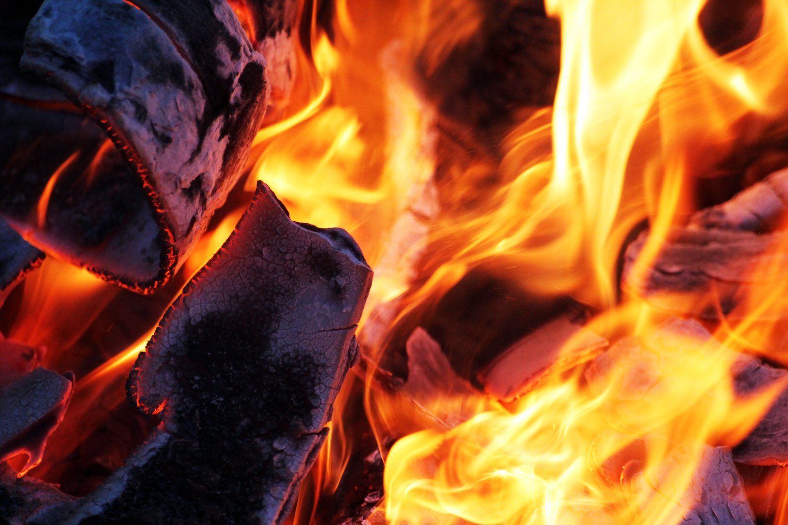 Burning Wood Fire With Orange and Yellow Flames — Campbell's Truck and Bobcat and Landscape Supplies In Gympie, QLD