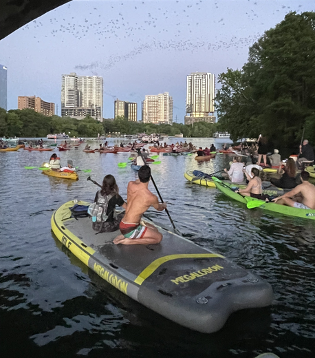 A group of people are paddling kayaks on a lake