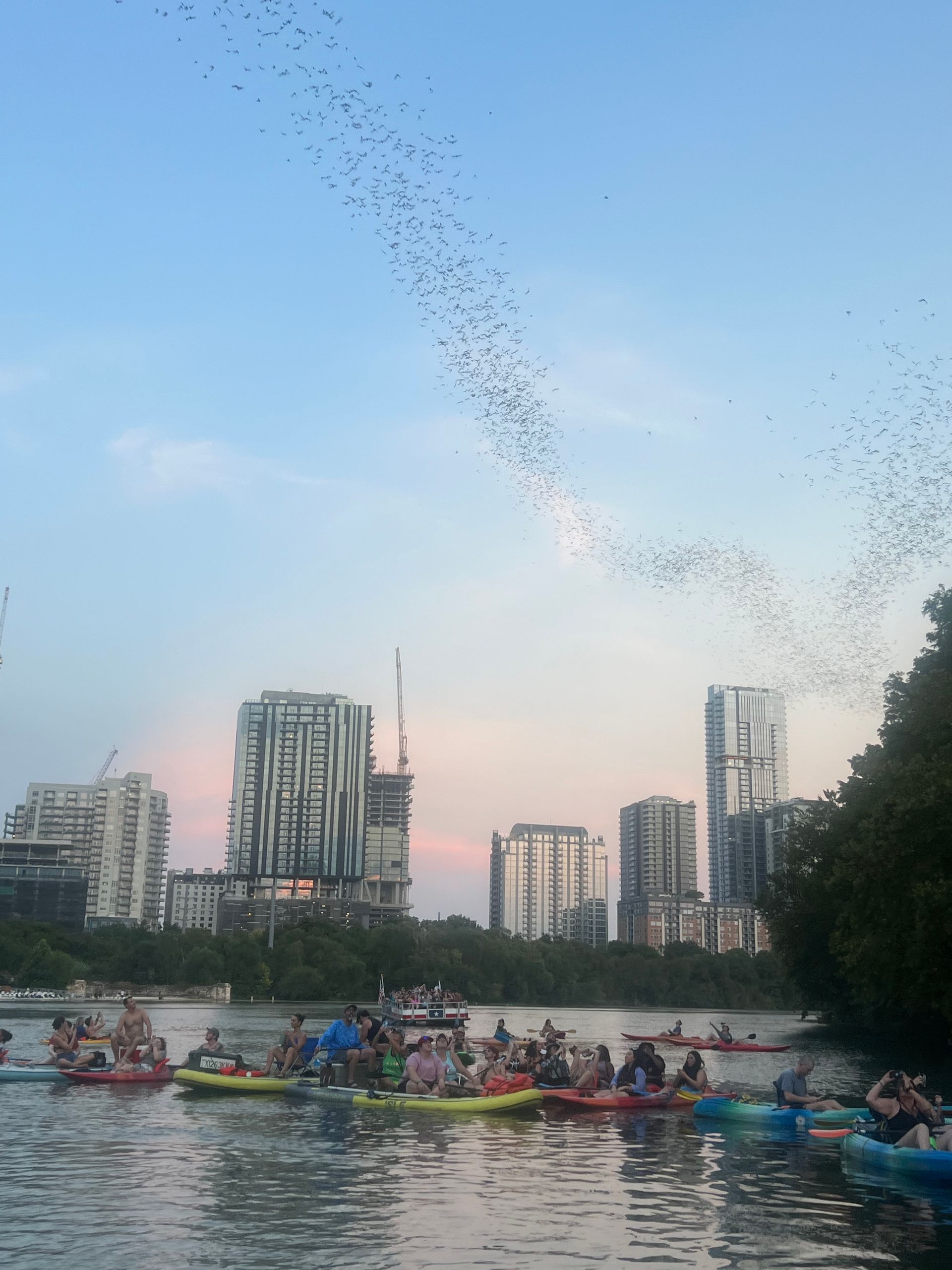 Friends watching bat emergence from Lady Bird Lake