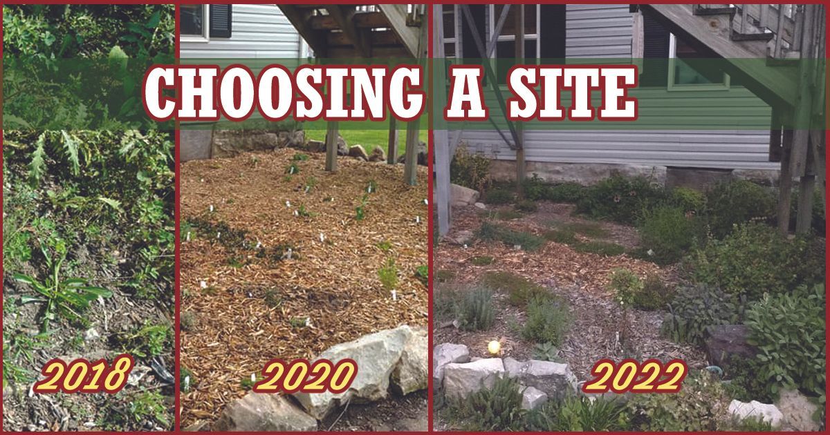 tri-image of an herb bed in 2018, 2020, and 2022