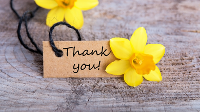 two dandelion heads lying on wood with a card that says thank you