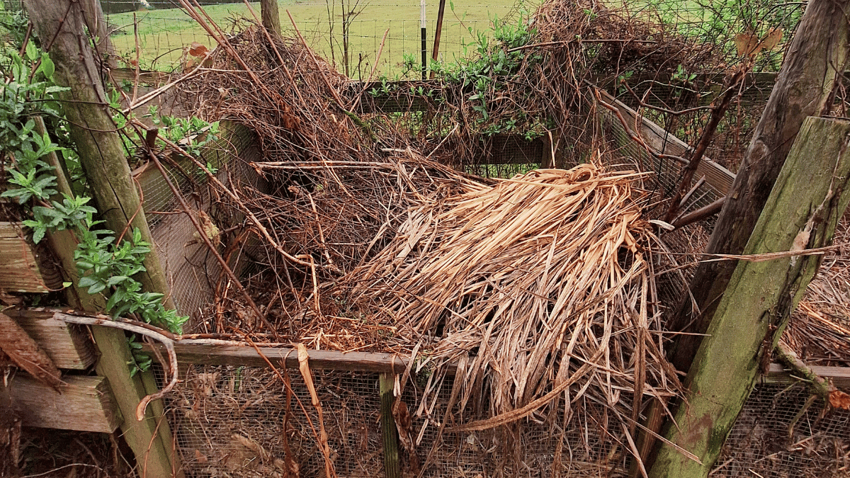 homemade compost bin with wooden posts and hardware cloth