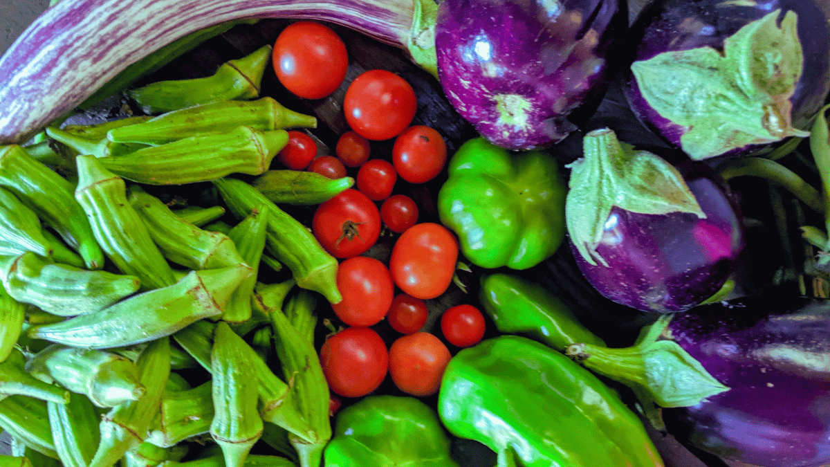 cherry tomatoes, eggplants, green peppers, and okra on a table