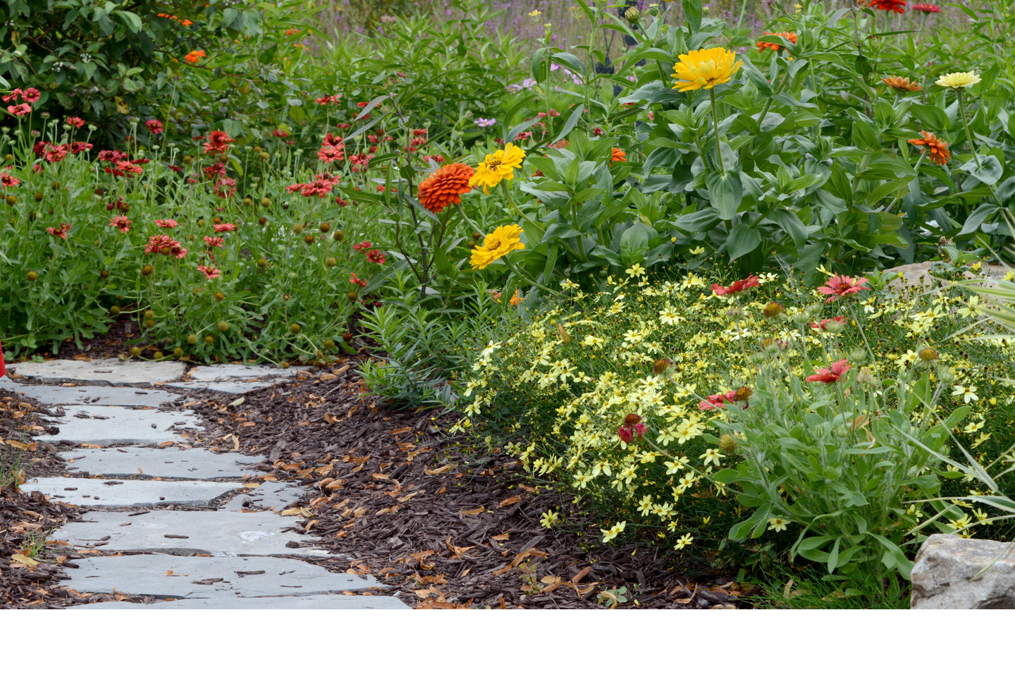 flagstone path through a blooming garden