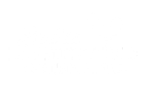 NLHG logo