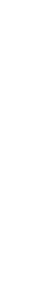 Thin vertical black rectangle on a white background.