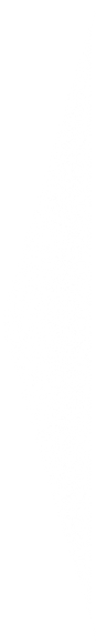 White vertical rectangle on a black background.