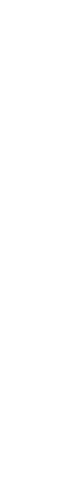 Black vertical bar on a white background