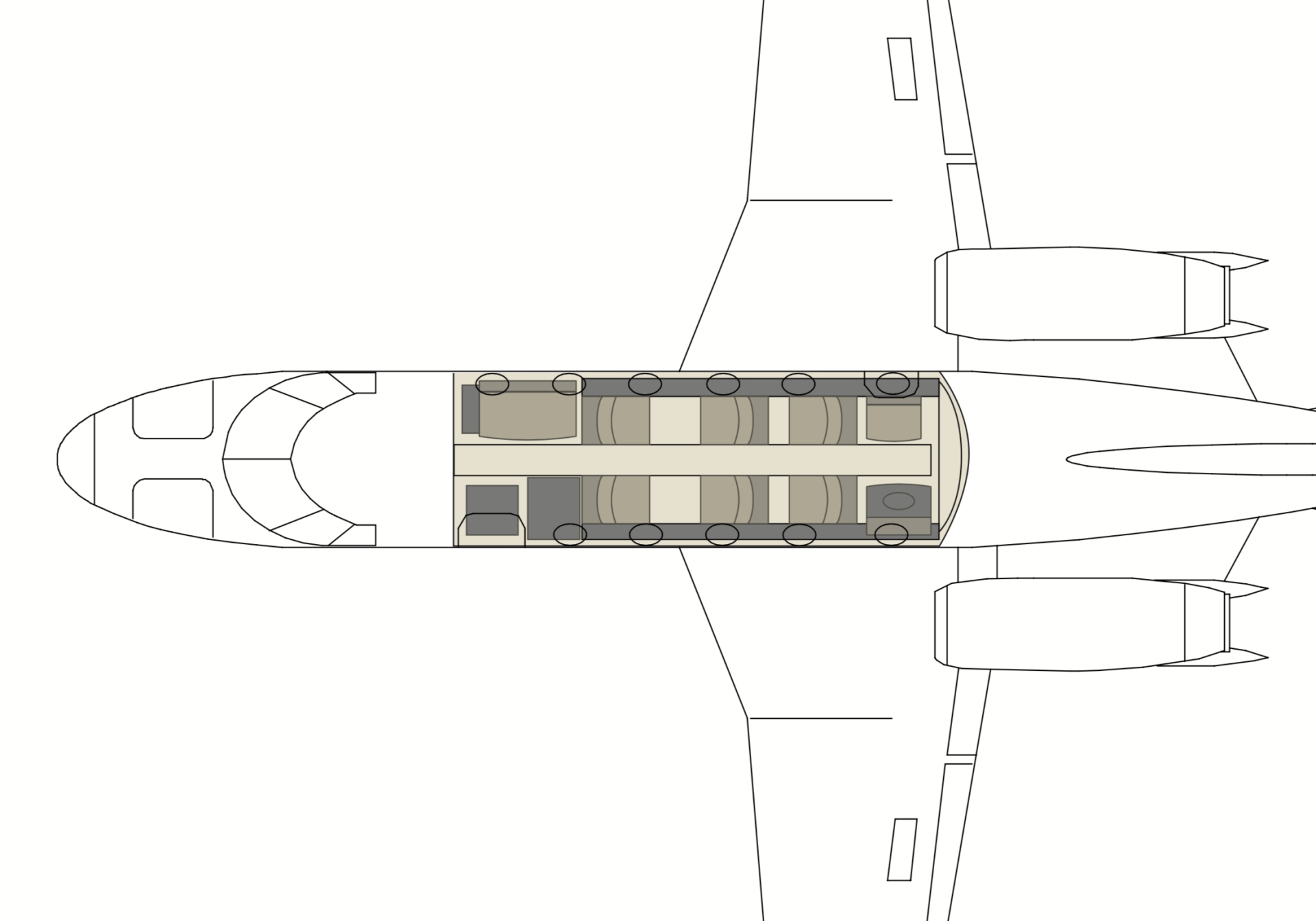 Top-down schematic of an airplane with a cutaway cabin showing rows of seats and cargo bays