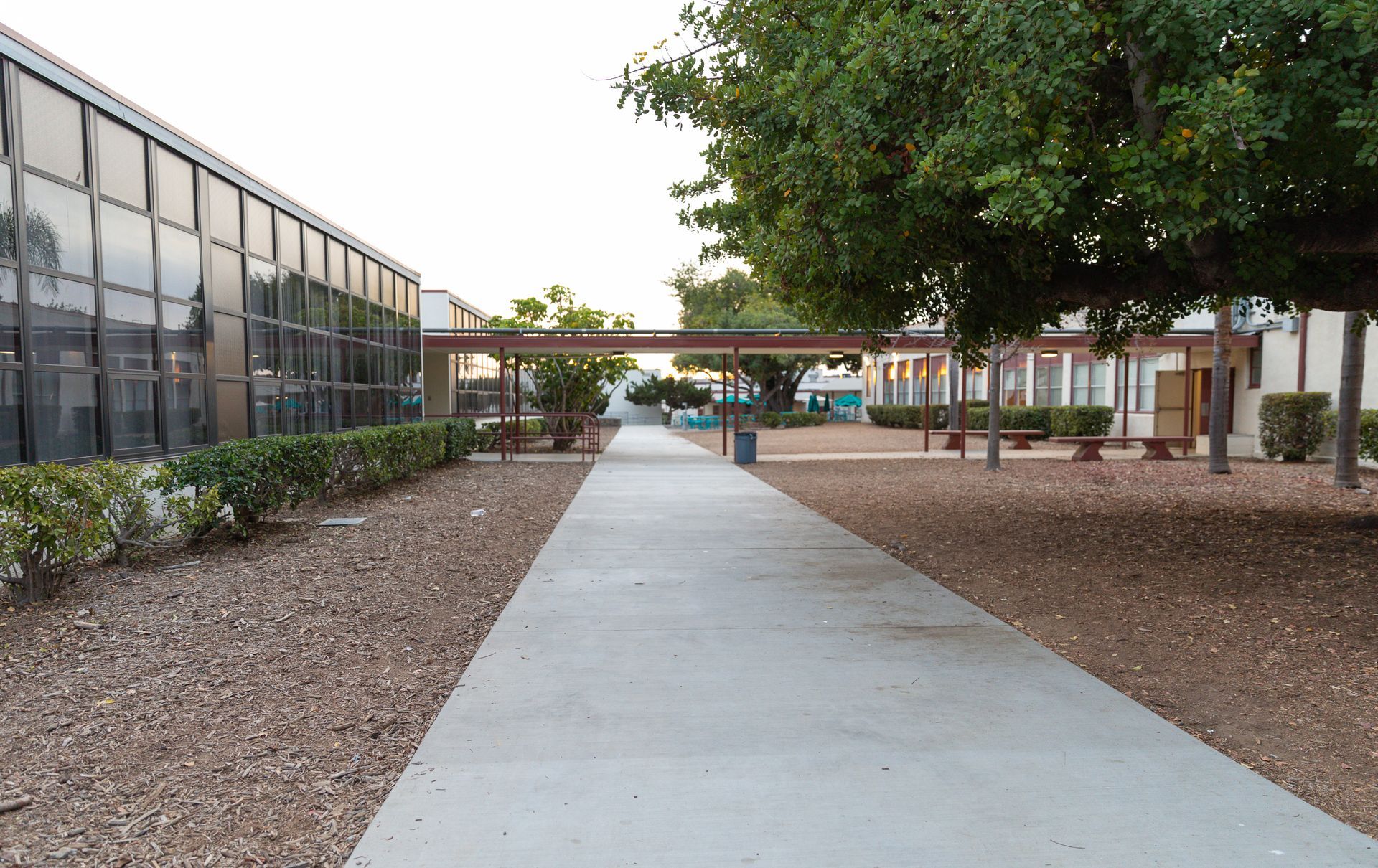 A concrete walkway between two buildings with trees on both sides