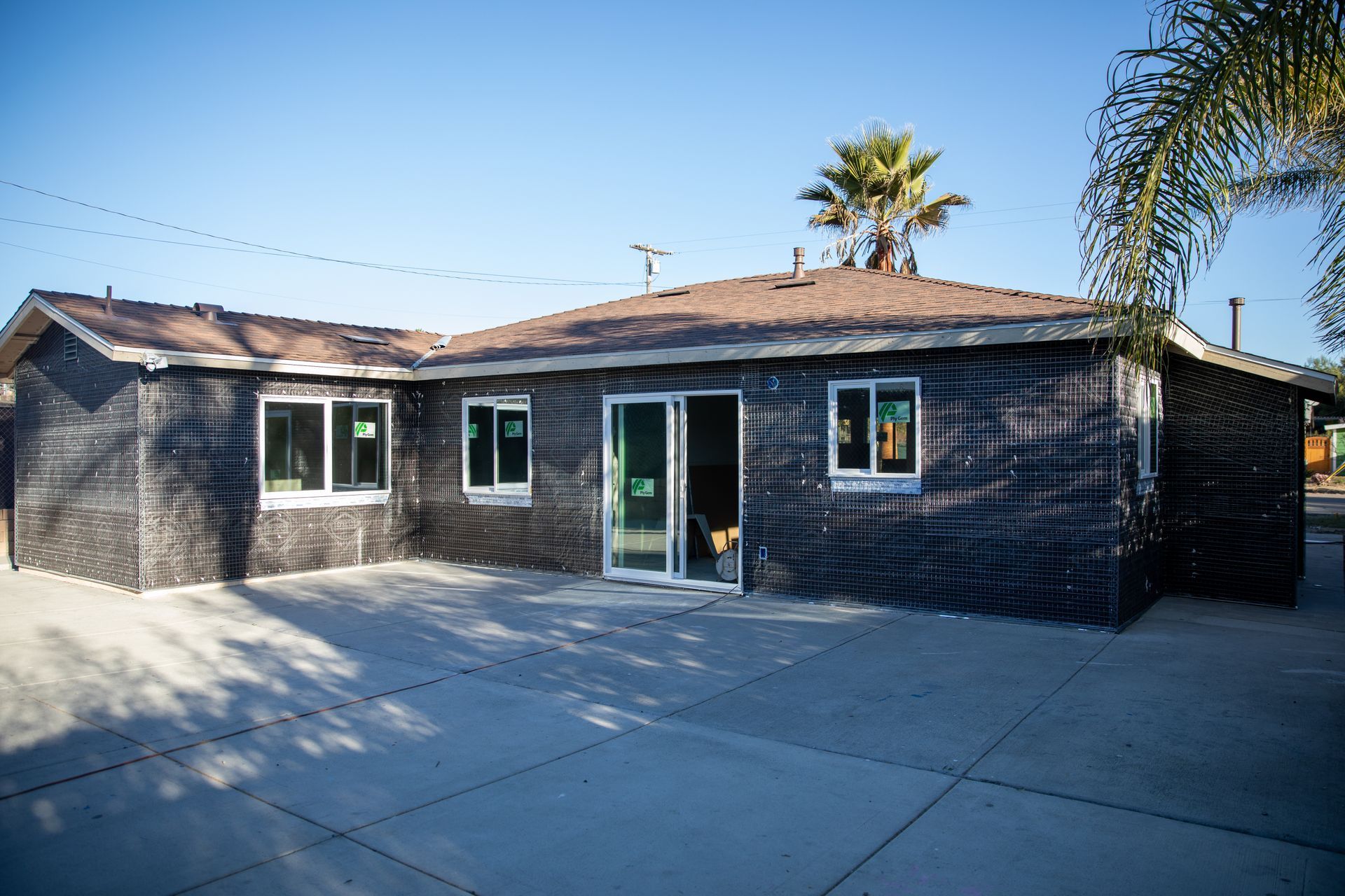 A house with a lot of windows and a palm tree in the background