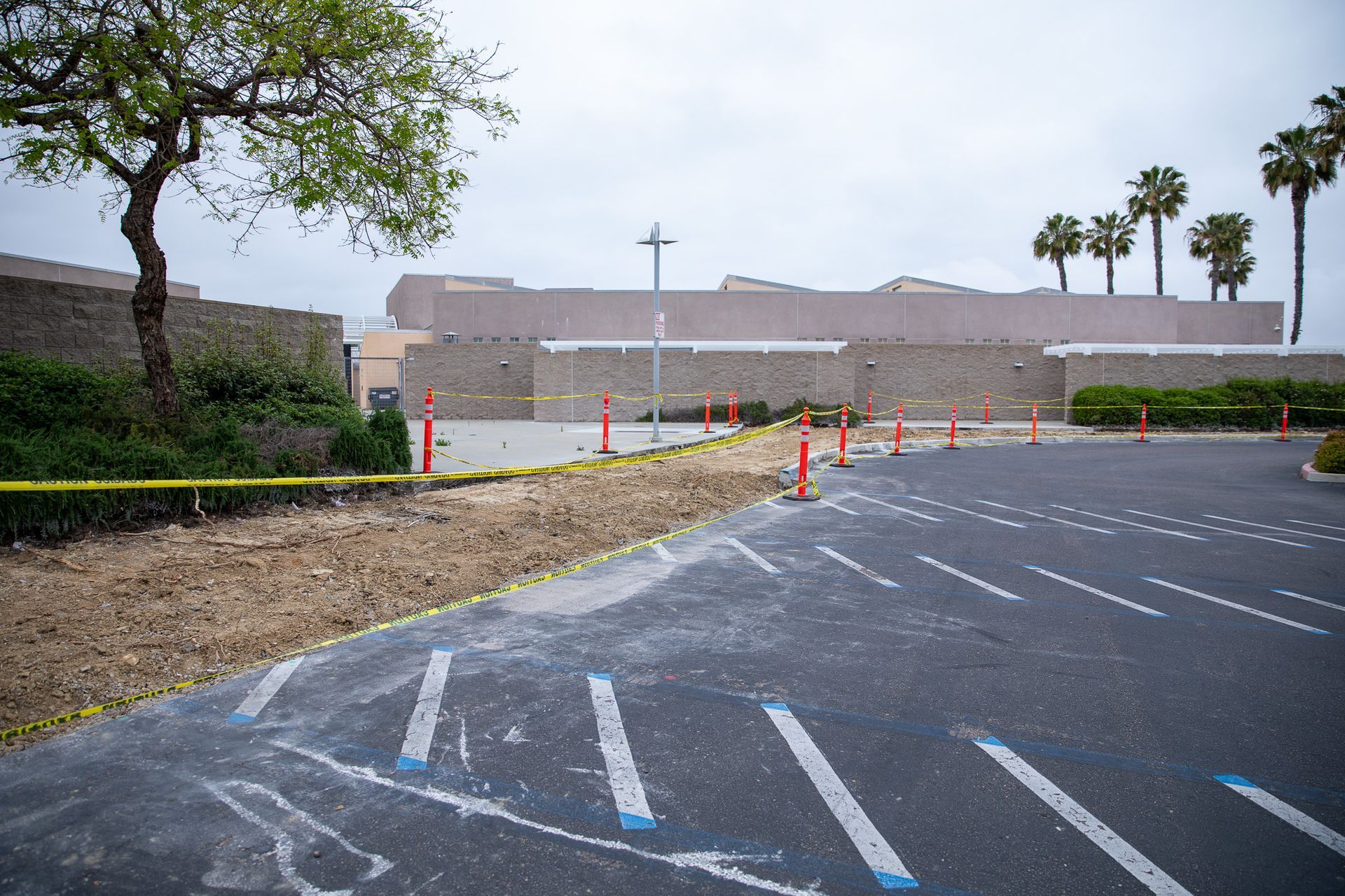 Empty parking lot with fresh white lane markings, orange cones, and a long concrete wall in the background