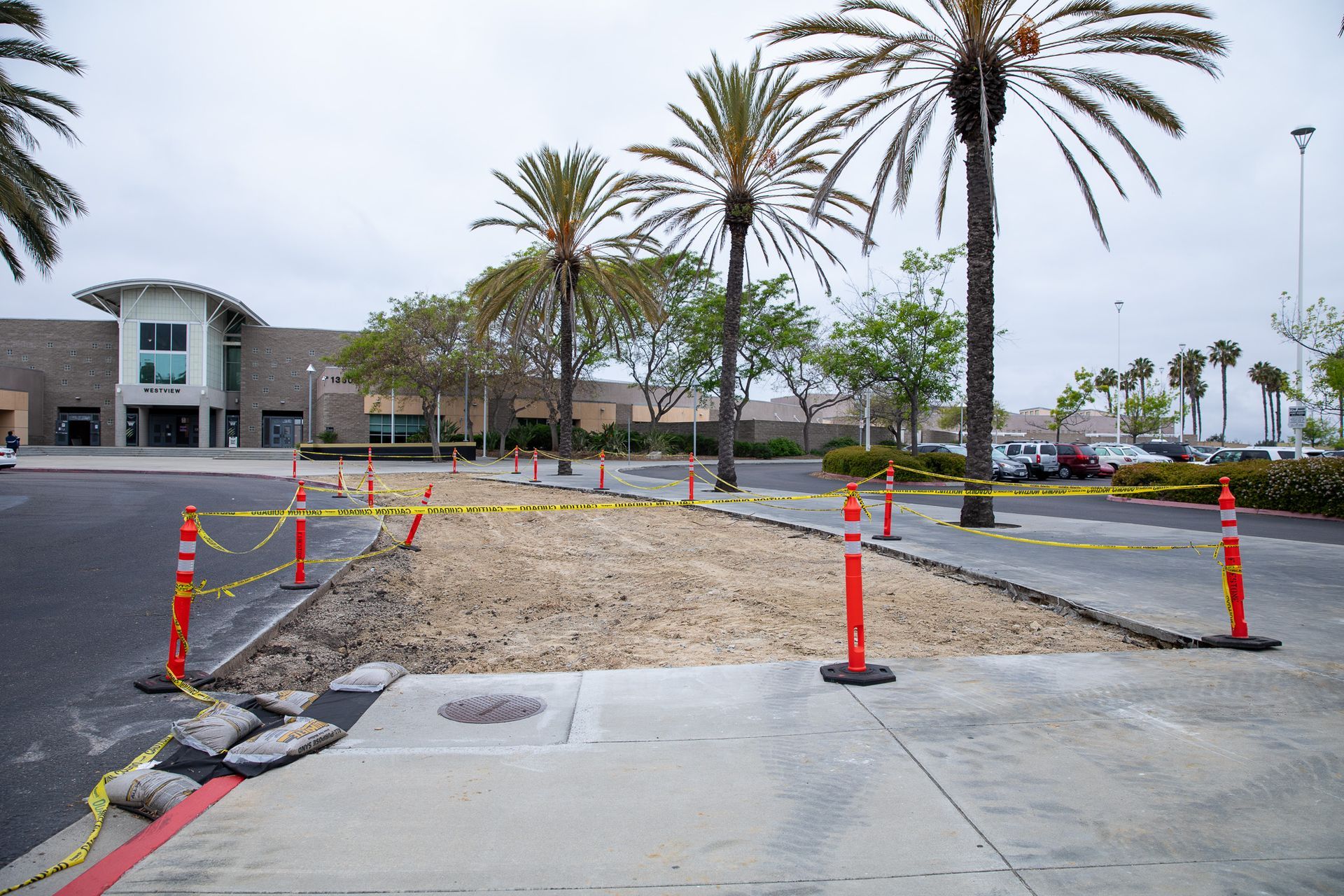 Construction area beside a sidewalk with orange cones, dirt, and palm trees near a building.