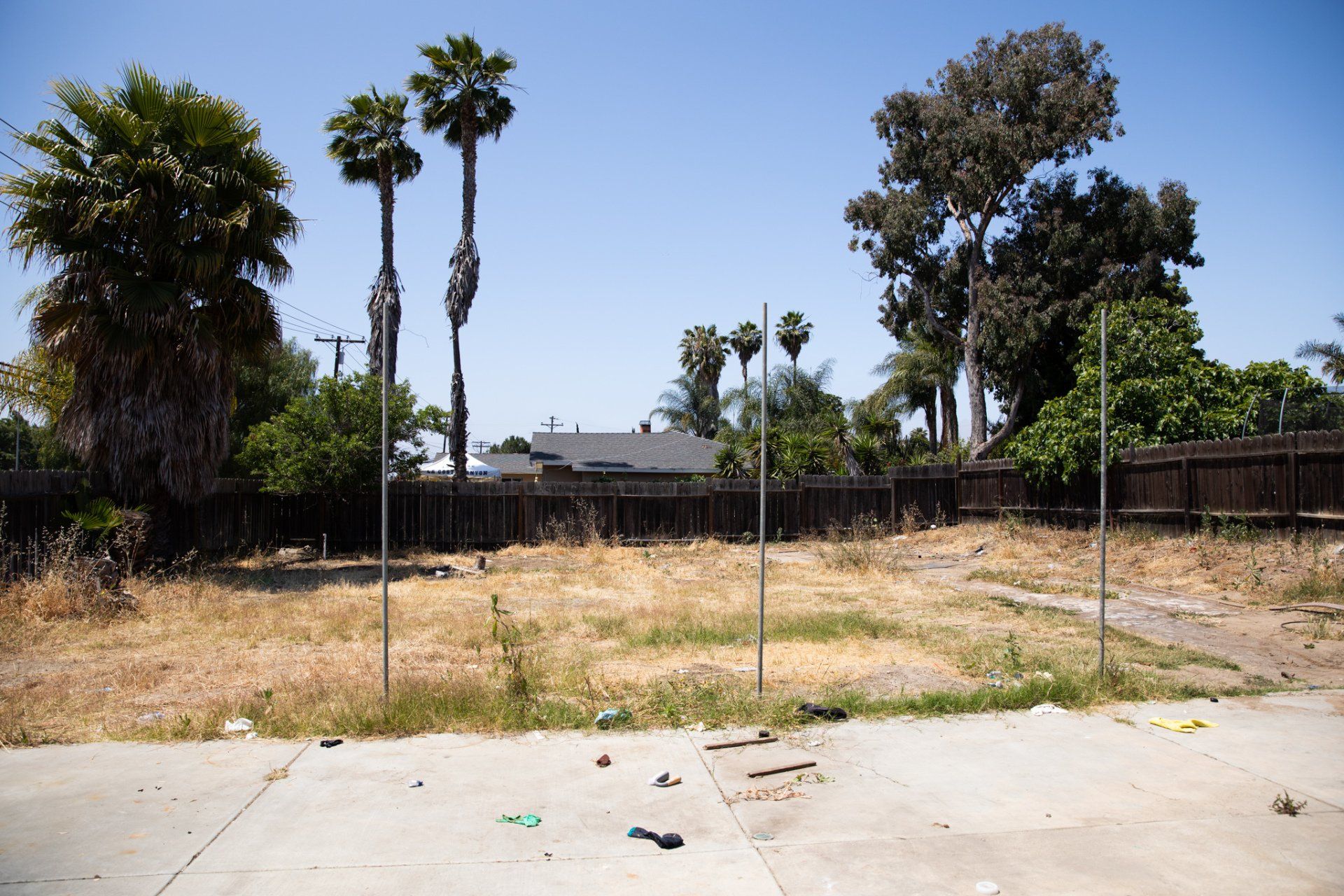 An empty lot with palm trees and a fence in the background