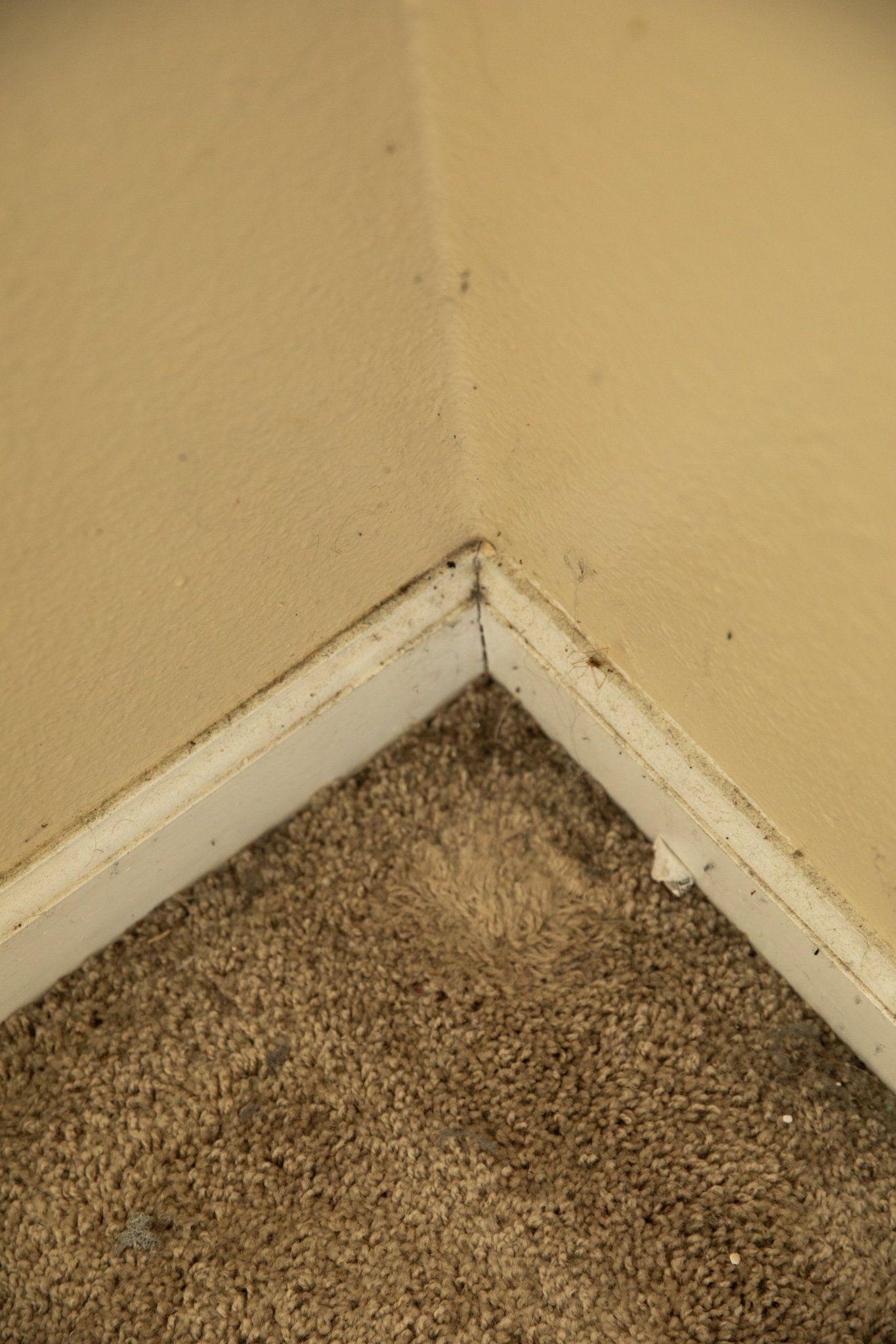 A corner of a room with a dirty carpet and a dirty wall.