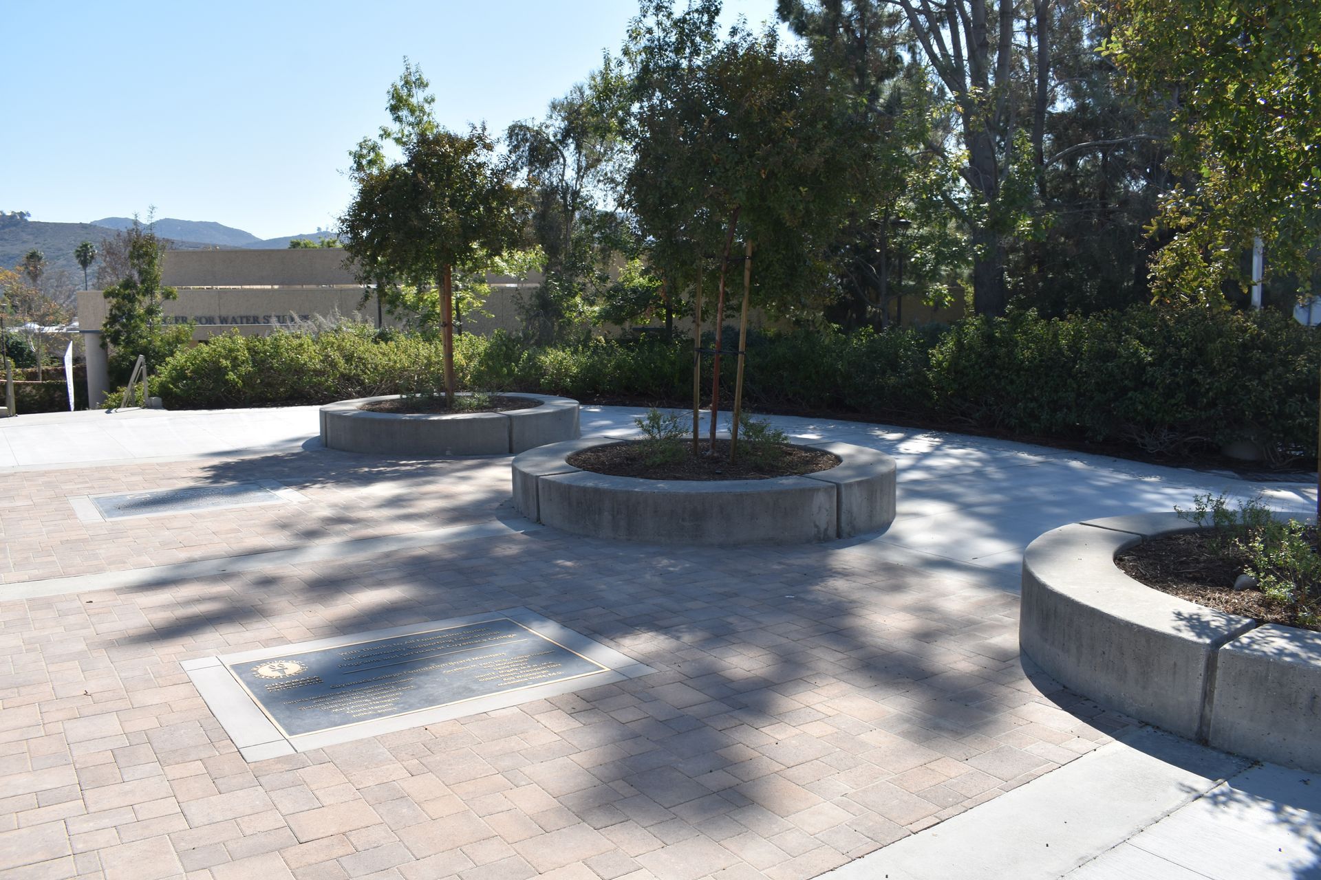 A brick walkway with trees in the middle of it