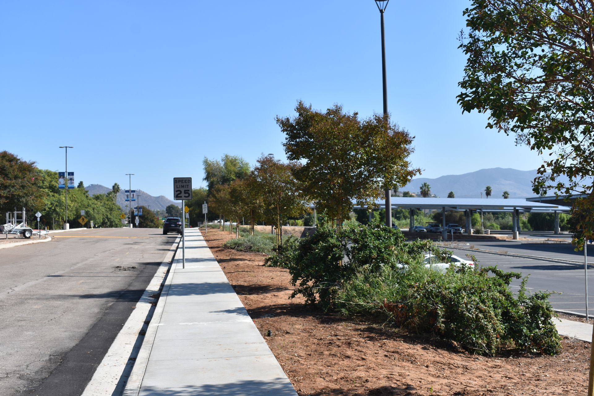 A sidewalk along the side of a road with trees and bushes